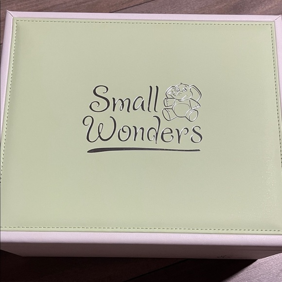 small wonders Other - Small Wonders Light Green Baby Storage Box